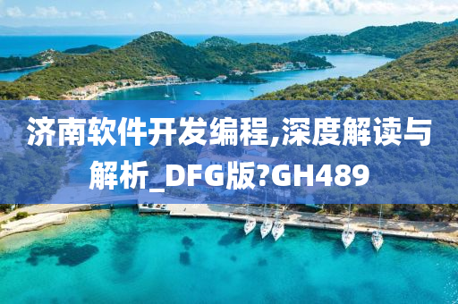 济南软件开发编程,深度解读与解析_DFG版?GH489