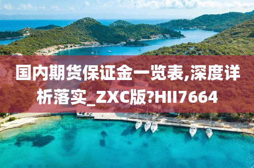 国内期货保证金一览表,深度详析落实_ZXC版?HII7664