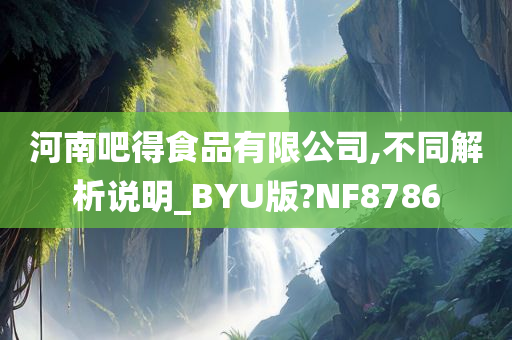 河南吧得食品有限公司,不同解析说明_BYU版?NF8786