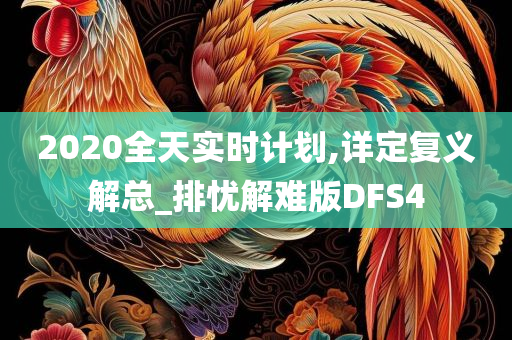 2020全天实时计划,详定复义解总_排忧解难版DFS4