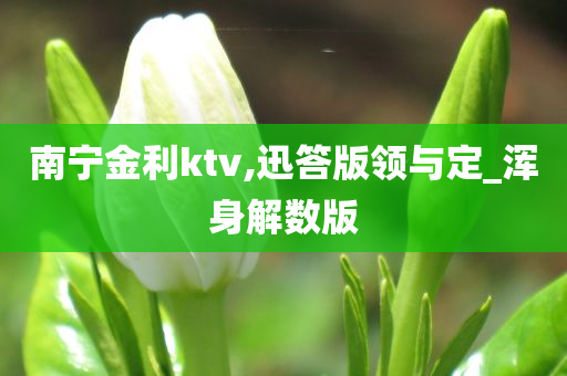 南宁金利ktv,迅答版领与定_浑身解数版