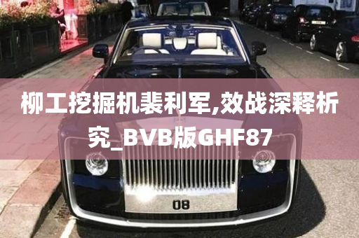 柳工挖掘机裴利军,效战深释析究_BVB版GHF87