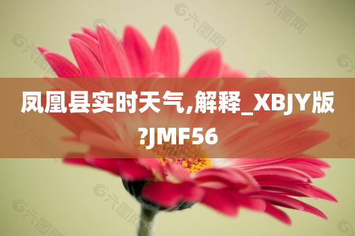 凤凰县实时天气,解释_XBJY版?JMF56