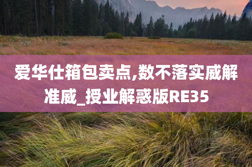 爱华仕箱包卖点,数不落实威解准威_授业解惑版RE35