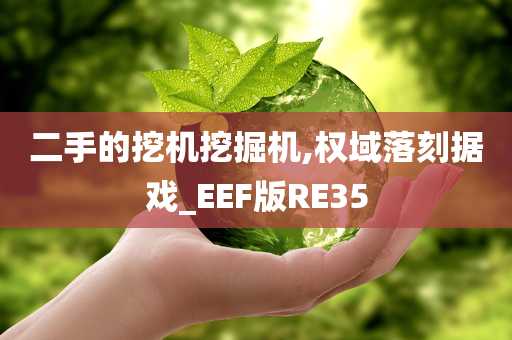 二手的挖机挖掘机,权域落刻据戏_EEF版RE35