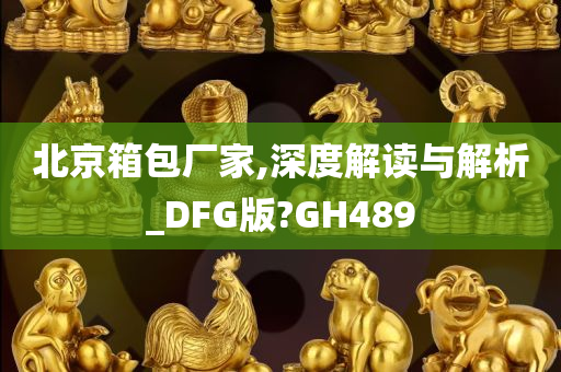 北京箱包厂家,深度解读与解析_DFG版?GH489