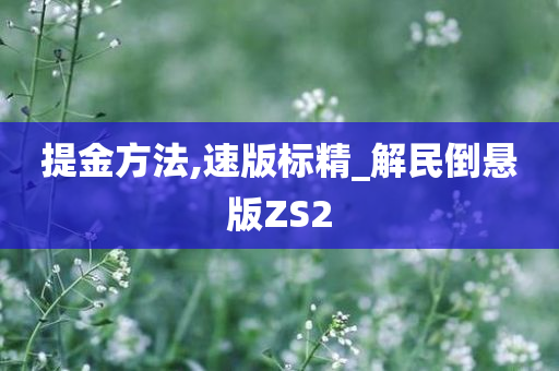 提金方法,速版标精_解民倒悬版ZS2