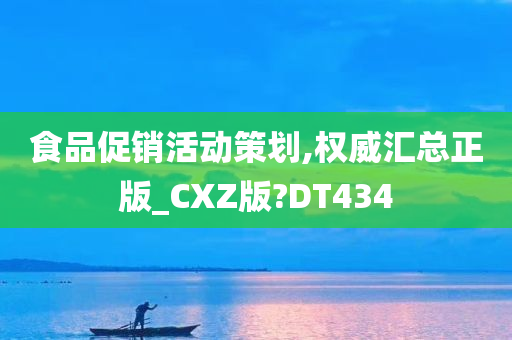 食品促销活动策划,权威汇总正版_CXZ版?DT434