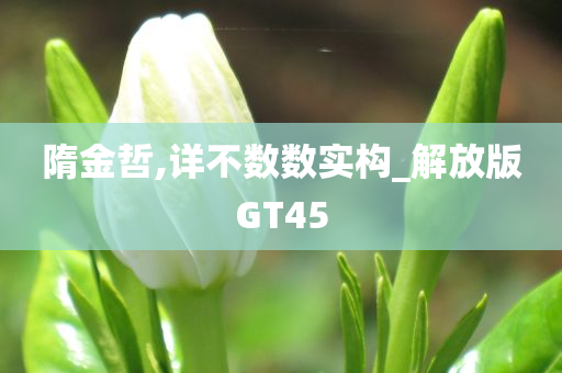 隋金哲,详不数数实构_解放版GT45