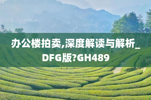 办公楼拍卖,深度解读与解析_DFG版?GH489