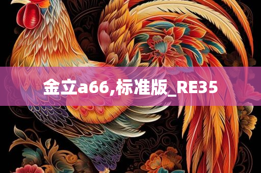 金立a66,标准版_RE35