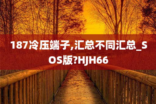 187冷压端子,汇总不同汇总_SOS版?HJH66