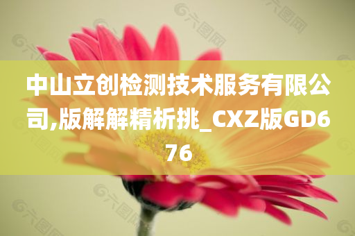 中山立创检测技术服务有限公司,版解解精析挑_CXZ版GD676