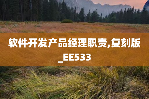 软件开发产品经理职责,复刻版_EE533