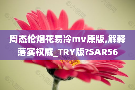 周杰伦烟花易冷mv原版,解释落实权威_TRY版?SAR56