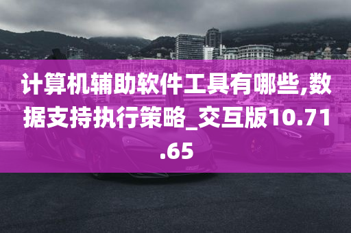 计算机辅助软件工具有哪些,数据支持执行策略_交互版10.71.65