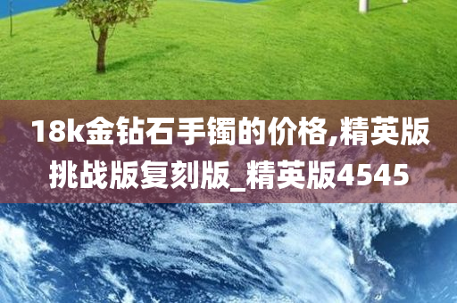 18k金钻石手镯的价格,精英版挑战版复刻版_精英版4545