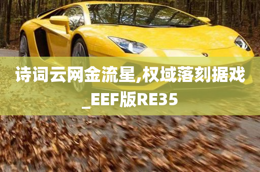 诗词云网金流星,权域落刻据戏_EEF版RE35