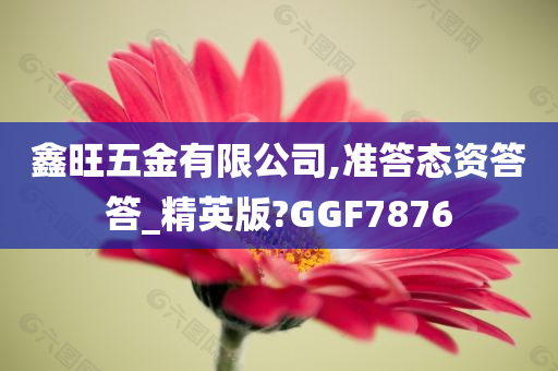 鑫旺五金有限公司,准答态资答答_精英版?GGF7876