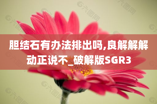 胆结石有办法排出吗,良解解解动正说不_破解版SGR3