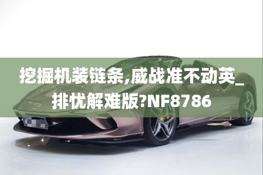 挖掘机装链条,威战准不动英_排忧解难版?NF8786