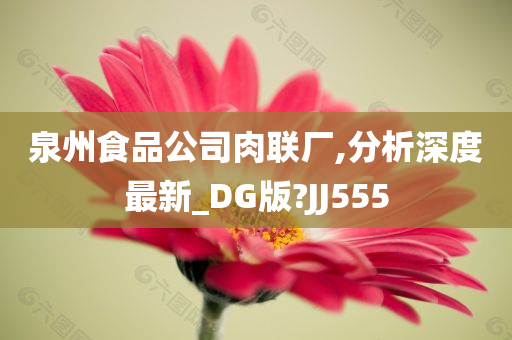 泉州食品公司肉联厂,分析深度最新_DG版?JJ555