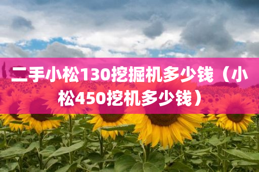 二手小松130挖掘机多少钱（小松450挖机多少钱）