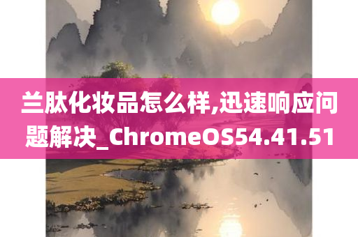 兰肽化妆品怎么样,迅速响应问题解决_ChromeOS54.41.51