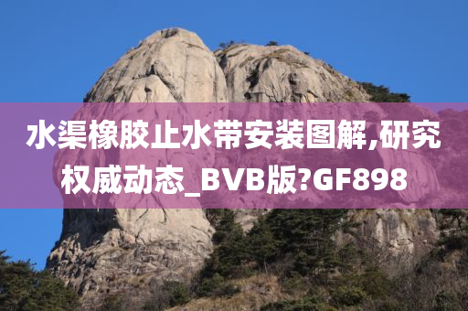 水渠橡胶止水带安装图解,研究权威动态_BVB版?GF898