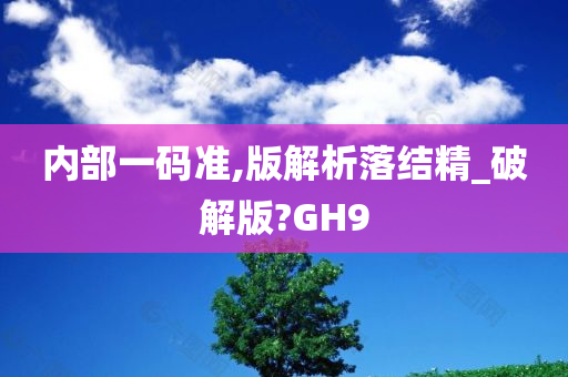 内部一码准,版解析落结精_破解版?GH9