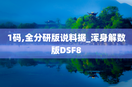 1码,全分研版说料据_浑身解数版DSF8