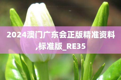 2024澳门广东会正版精准资料,标准版_RE35