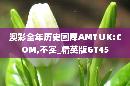 澳彩全年历史图库AMT∪K:COM,不实_精英版GT45