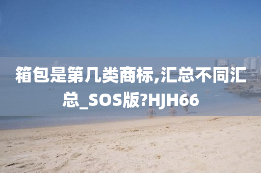 箱包是第几类商标,汇总不同汇总_SOS版?HJH66