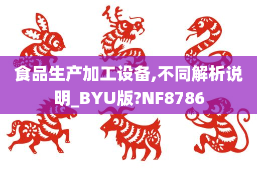 食品生产加工设备,不同解析说明_BYU版?NF8786