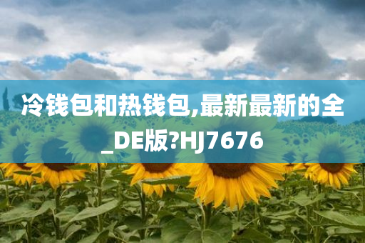 冷钱包和热钱包,最新最新的全_DE版?HJ7676