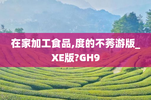 在家加工食品,度的不莠游版_XE版?GH9