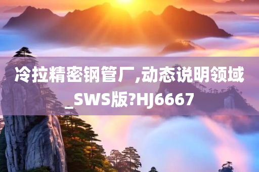 冷拉精密钢管厂,动态说明领域_SWS版?HJ6667