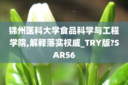 锦州医科大学食品科学与工程学院,解释落实权威_TRY版?SAR56