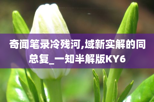 奇闻笔录冷残河,域新实解的同总复_一知半解版KY6