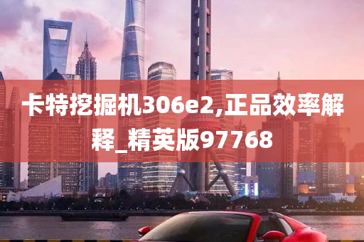 卡特挖掘机306e2,正品效率解释_精英版97768