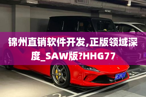 锦州直销软件开发,正版领域深度_SAW版?HHG77