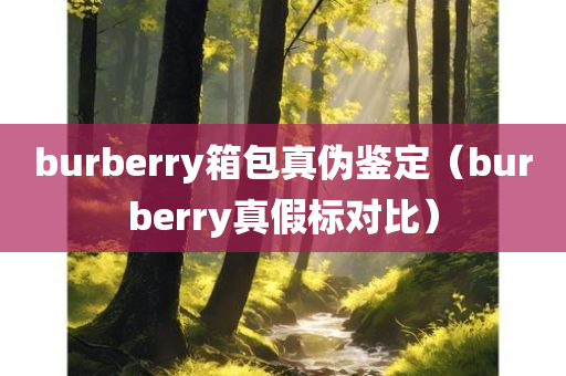 burberry箱包真伪鉴定（burberry真假标对比）