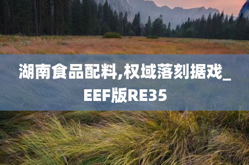 湖南食品配料,权域落刻据戏_EEF版RE35