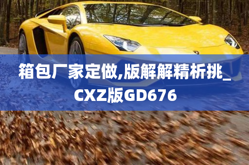 箱包厂家定做,版解解精析挑_CXZ版GD676