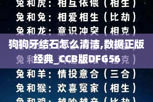 狗狗牙结石怎么清洁,数据正版经典_CCB版DFG56