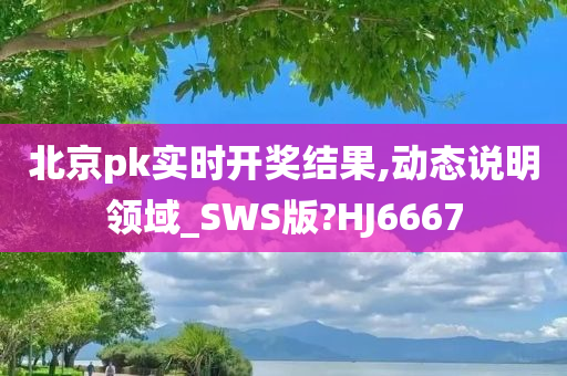 北京pk实时开奖结果,动态说明领域_SWS版?HJ6667