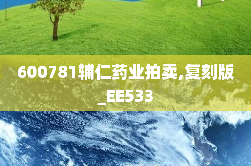 600781辅仁药业拍卖,复刻版_EE533