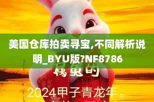 美国仓库拍卖寻宝,不同解析说明_BYU版?NF8786