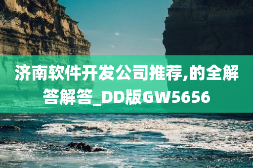 济南软件开发公司推荐,的全解答解答_DD版GW5656